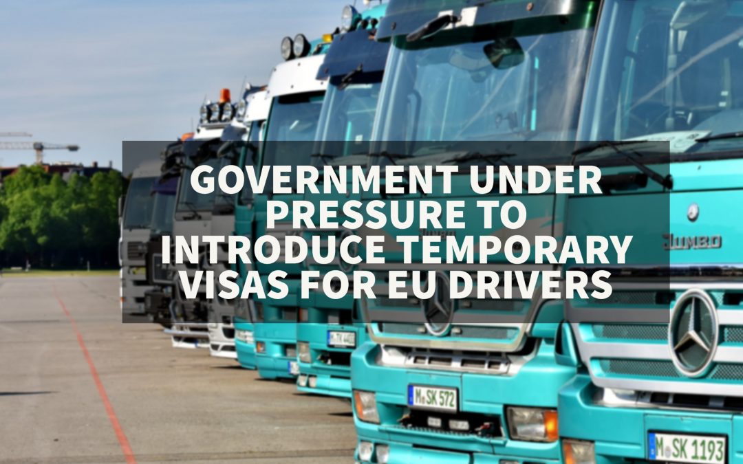 Government under pressure to introduce temporary visas for EU drivers.